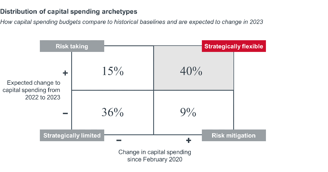 Distribution of capital spending archetypes